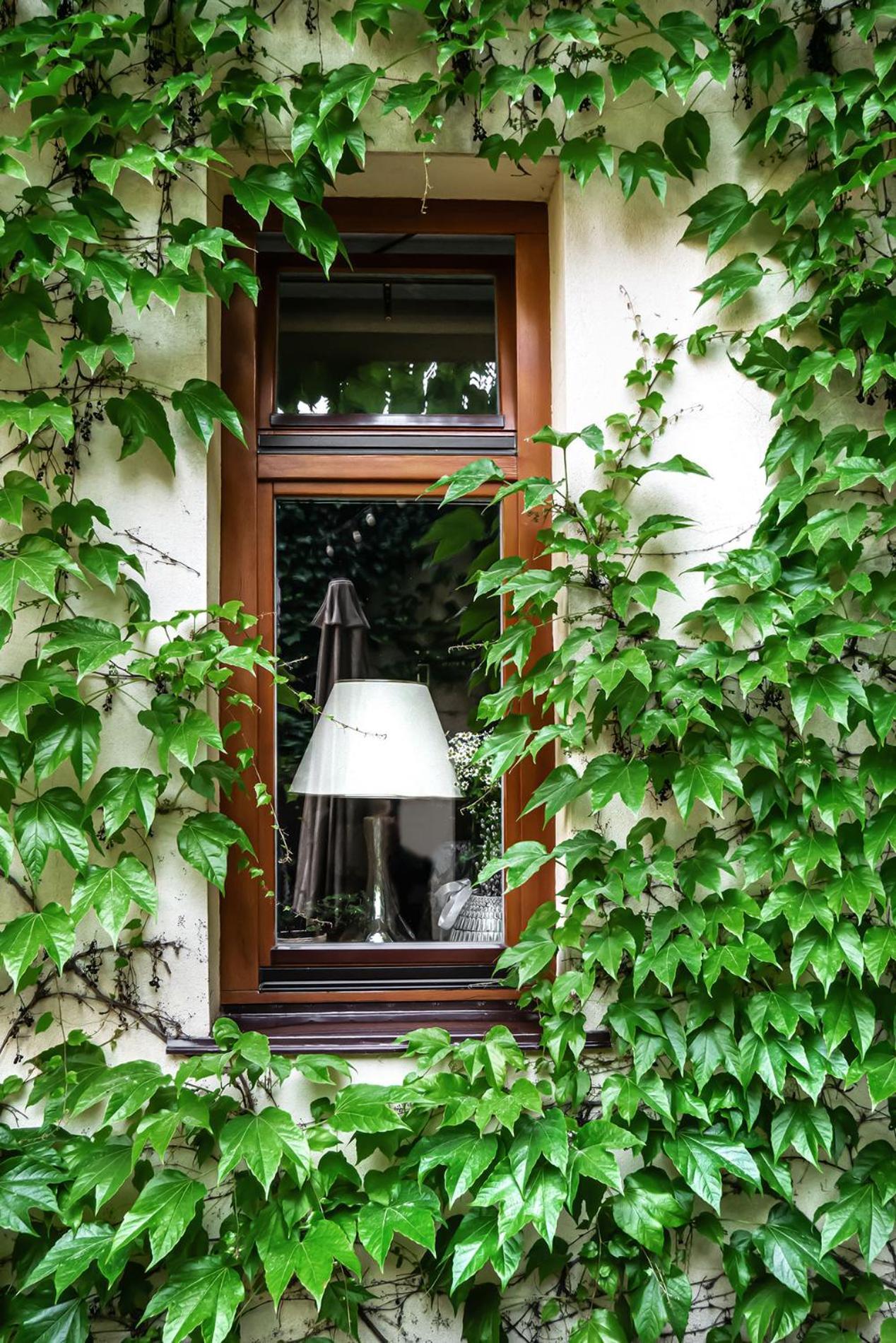 Shato Luxe Odesa Exterior photo